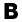 BB